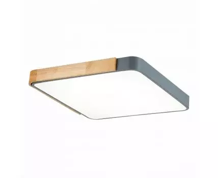 Потолочный светильник Evoluce FESTA