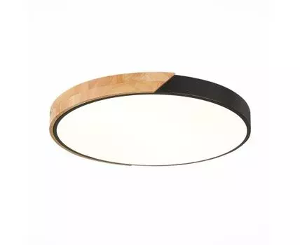 Потолочный светильник Evoluce FESTA