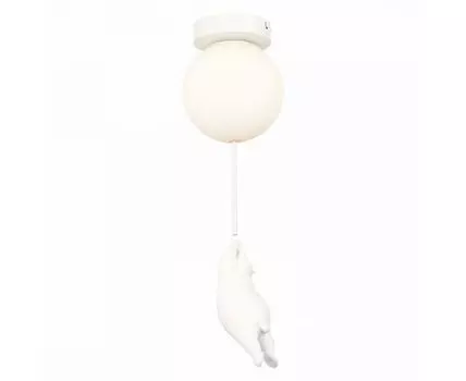 Потолочный светильник Evoluce MODENA