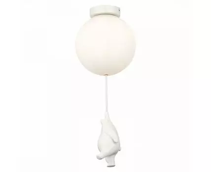 Потолочный светильник Evoluce MODENA