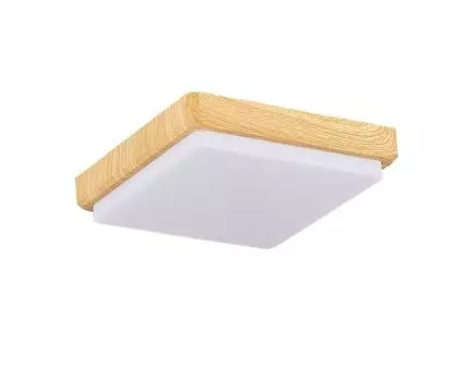 Потолочный светильник Evoluce TADDIO