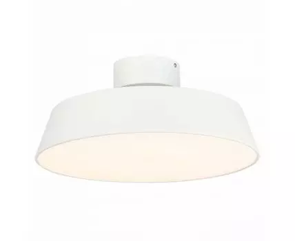 Потолочный светильник Evoluce VIGO