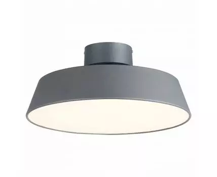 Потолочный светильник Evoluce VIGO