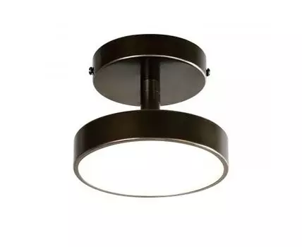 Потолочный светильник F-Promo Daur