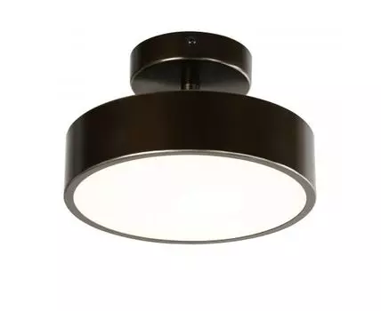 Потолочный светильник F-Promo Daur