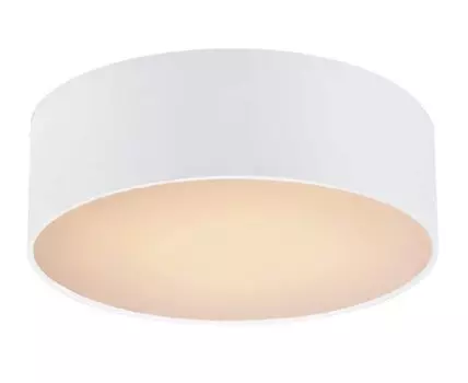 Потолочный светильник Favourite