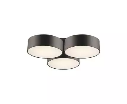 Потолочный светильник Favourite