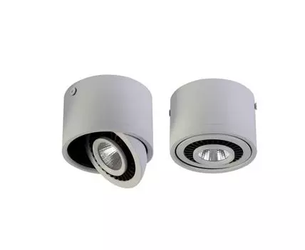 Потолочный светильник Favourite