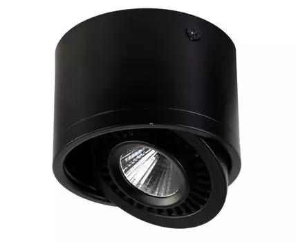 Потолочный светильник Favourite