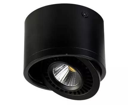 Потолочный светильник Favourite