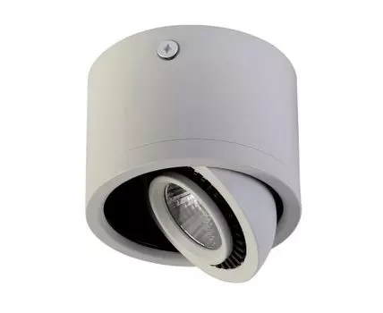 Потолочный светильник Favourite