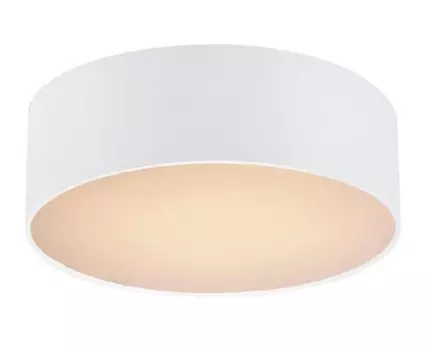 Потолочный светильник Favourite