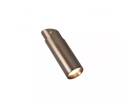 Потолочный светильник Favourite Insuper