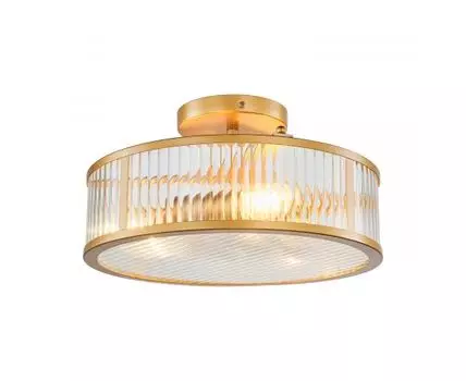 Потолочный светильник Favourite Radiales