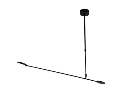 Потолочный светильник Favourite Vorago