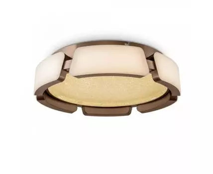 Потолочный светильник Freya Ethan