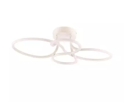 Потолочный светильник HARMONIE