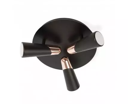 Потолочный светильник Lao черный