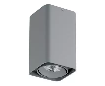 Потолочный светильник LightStar Monocco