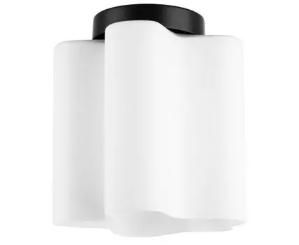 Потолочный светильник LightStar Nubi