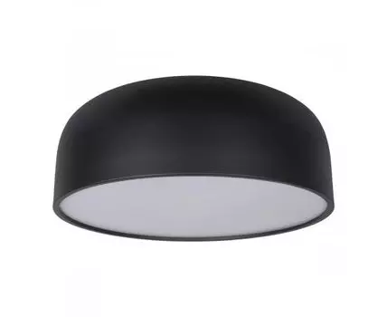 Потолочный светильник Loft IT Axel