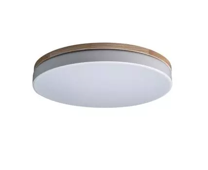 Потолочный светильник Loft IT Axel