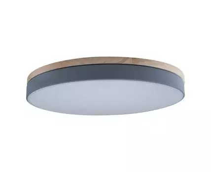 Потолочный светильник Loft IT Axel