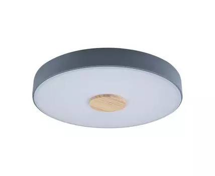 Потолочный светильник Loft IT Axel