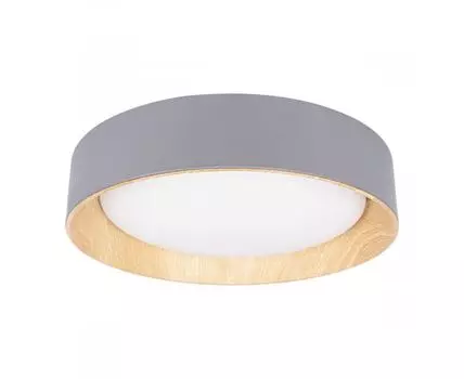 Потолочный светильник LOFT IT Coin