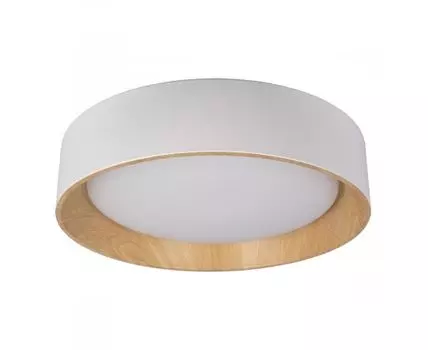 Потолочный светильник Loft IT Coin