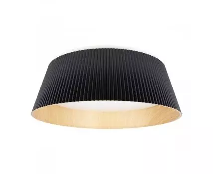 Потолочный светильник LOFT IT Evans