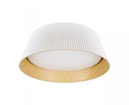 Потолочный светильник LOFT IT Evans