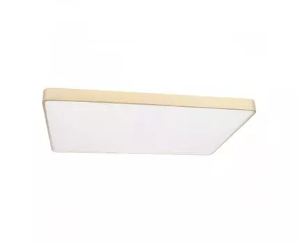 Потолочный светильник LOFT IT Flims