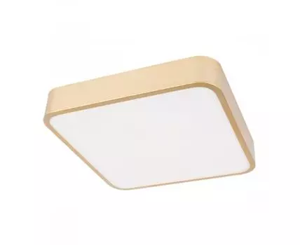 Потолочный светильник LOFT IT Flims