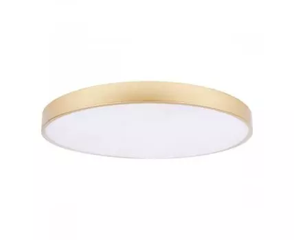 Потолочный светильник LOFT IT Flims