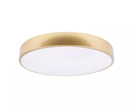 Потолочный светильник LOFT IT Flims