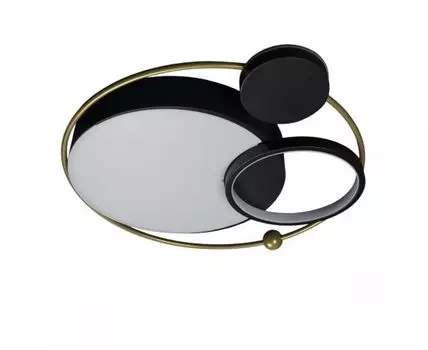 Потолочный светильник Loft IT Mike