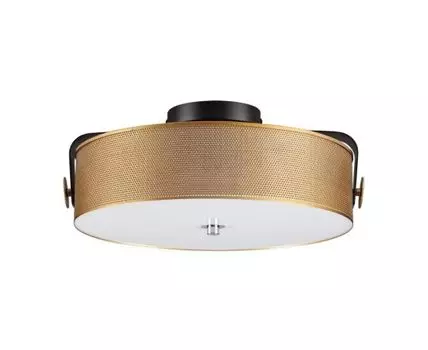 Потолочный светильник Lumion DRUMY