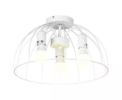 Потолочный светильник Lussole LATTICE