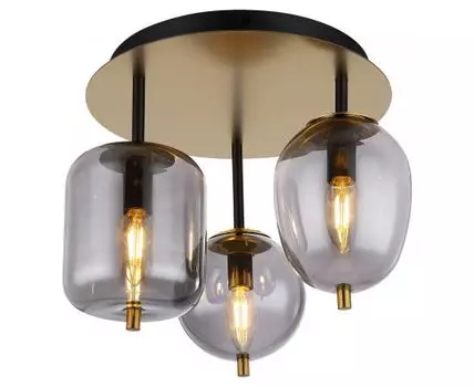 Потолочный светильник Lussole LGO