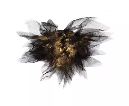 Потолочный светильник Lussole LGO