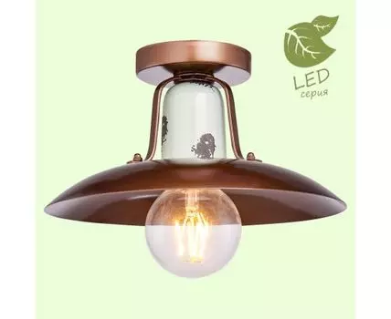 Потолочный светильник Lussole VERMILION