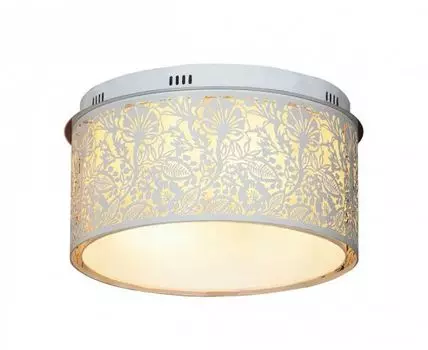 Потолочный светильник Lussole Vetere