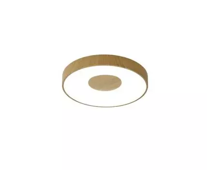 Потолочный светильник Mantra COIN