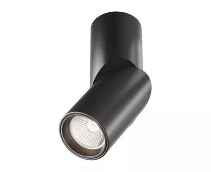 Потолочный светильник Maytoni Dafne