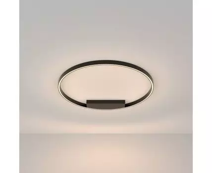 Потолочный светильник Maytoni Modern Rim