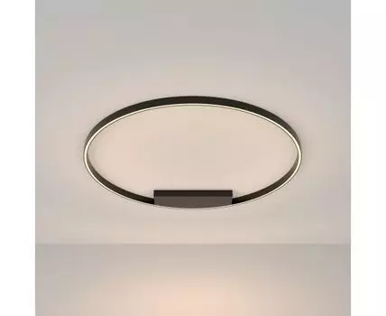 Потолочный светильник Maytoni Modern Rim