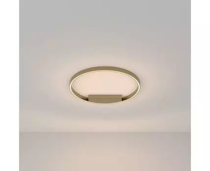 Потолочный светильник Maytoni Modern Rim