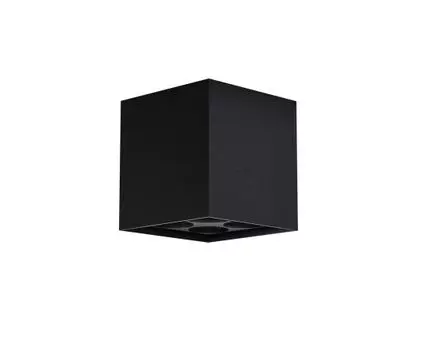 Потолочный светильник Maytoni Outdoor Ares