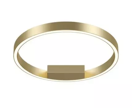 Потолочный светильник Maytoni Rim